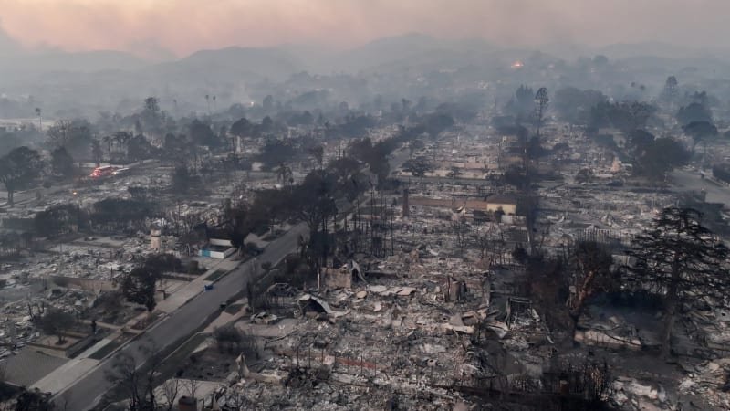 Chránili domov i mazlíčky. Jaké jsou příběhy lidí, kteří zemřeli při požárech v Los Angeles?
