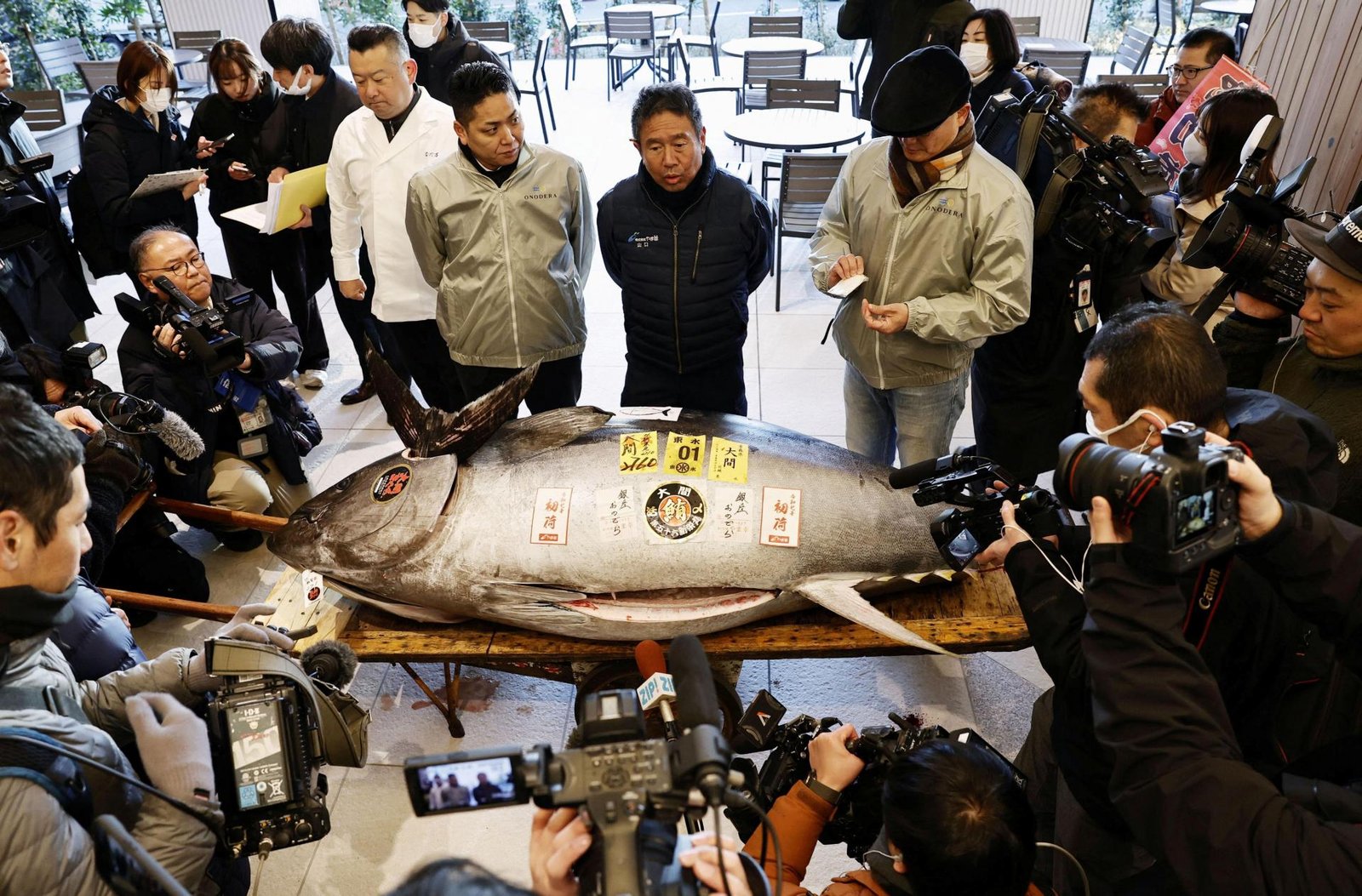 V Japonsku vydražili tuniaka za milióny jenov, bude z neho sushi V Japonsku vydražili tuniaka za milióny jenov, bude z neho sushi