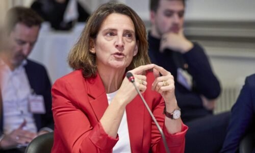 Dotácie na elektromobily sú opäť v hre. Tentoraz plošné a celoeurópske