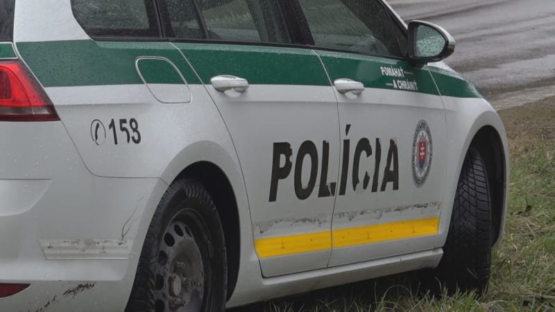 Matka našla ve sklepě domu v Šuranech mrtvoly svých synů. Měly řezná a bodná poranění Matka našla ve sklepě domu v Šuranech mrtvoly svých synů. Měly řezná a bodná poranění