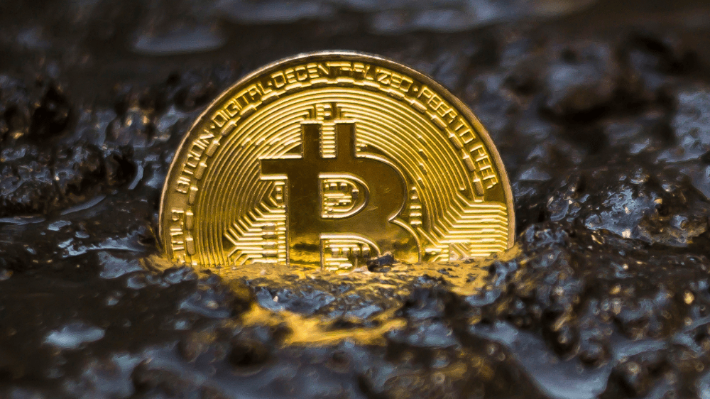 Bitcoin na skládke odpadu a ďalšie strašidelné udalosti kryptosveta Bitcoin na skládke odpadu a ďalšie strašidelné udalosti kryptosveta