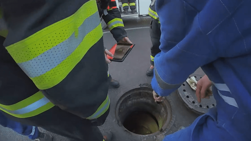 Devět dní prožívala muka. Pes se ženě z Prahy na silvestra zaběhl, našli ho v kanále Devět dní prožívala muka. Pes se ženě z Prahy na silvestra zaběhl, našli ho v kanále