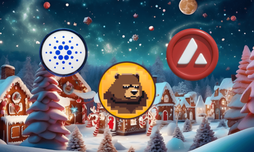 BeerBear: Nový meme token láka investorov