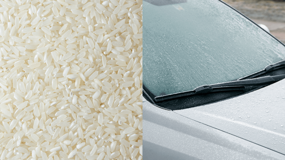 Ryža v interiéri a zamrznuté auto. Naozaj to prináša výsledky? Ryža v interiéri a zamrznuté auto. Naozaj to prináša výsledky?