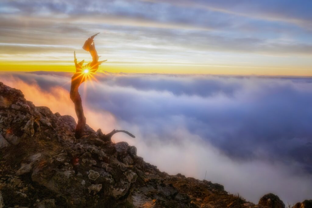 FOTO: Magická príroda v Bratislavskom kraji na prelome rokov