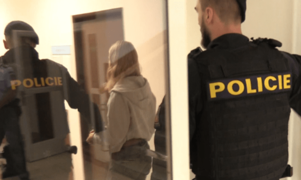 Bodla ho do hrudníku. Mladá žena dostala za vraždu partnera na Semilsku deset let vězení