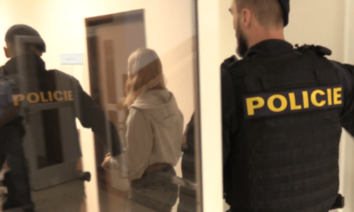 Bodla ho do hrudníku. Mladá žena dostala za vraždu partnera na Semilsku deset let vězení