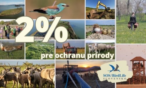 Venujte 2% z dane Slovenskej ornitologickej spoločnosti/BirdLife Slovensko [Komerčný obsah]