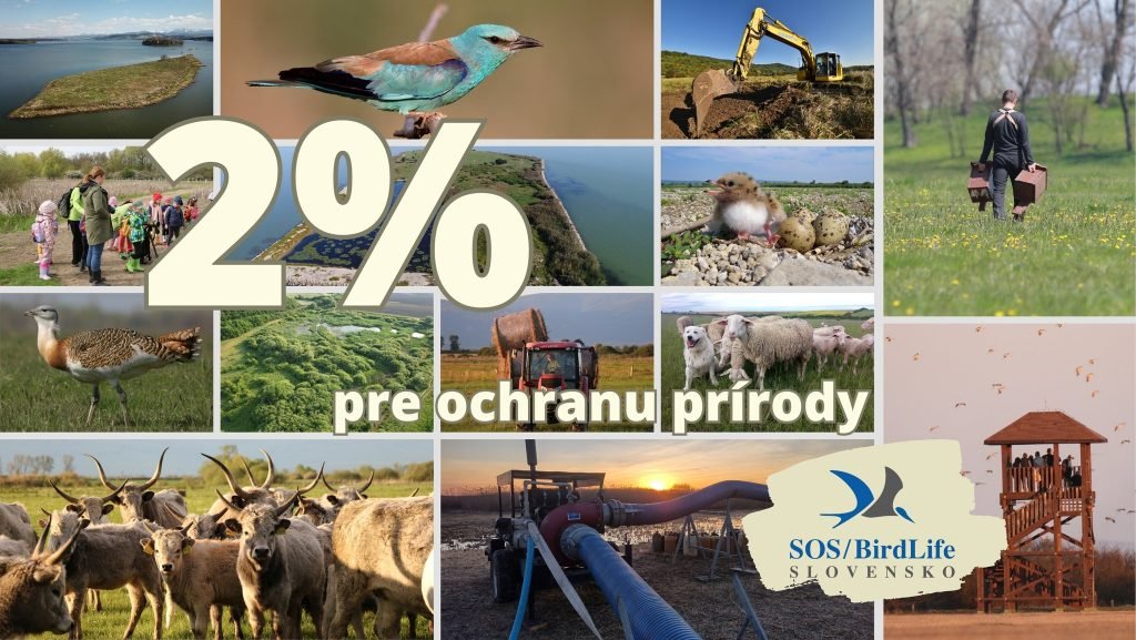 Venujte 2% z dane Slovenskej ornitologickej spoločnosti/BirdLife Slovensko [Komerčný obsah]