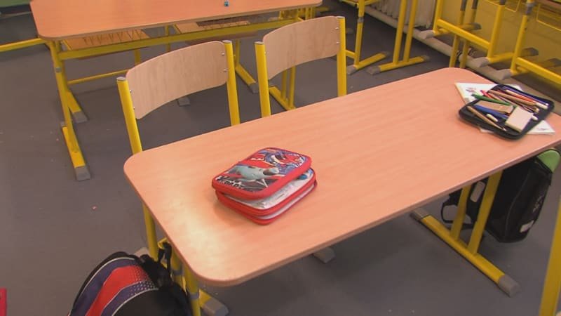 Žák na Slovensku namaloval umírající učitelku, jiný hrozil spolužačce. Oba případy řeší policie