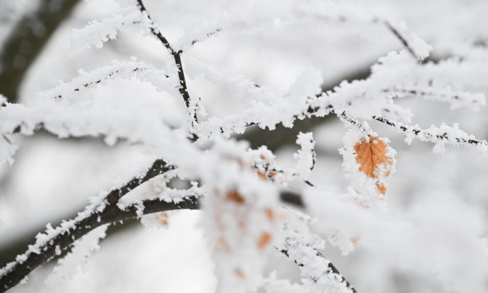 Blíži sa dlhodobé ochladenie. Meteorológovia hovoria o najsilnejších mrazoch tejto zimy