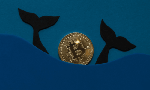 Blíži sa prudký rast Bitcoinu? Veľkí investori investujú vo veľkom