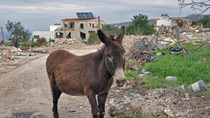 Jdeme do války na oslech. Ruští vojáci kvůli nedostatku vozidel používají tažná zvířata Jdeme do války na oslech. Ruští vojáci kvůli nedostatku vozidel používají tažná zvířata