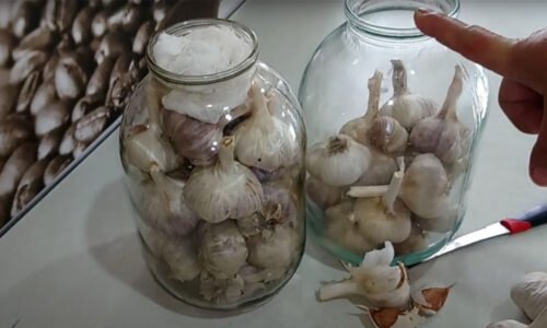 Tajomstvo dokonale čerstvého cesnaku: Stačí ho uložiť na TOTO miesto a vydrží mesiace, nestratí jeho silu a chuť!