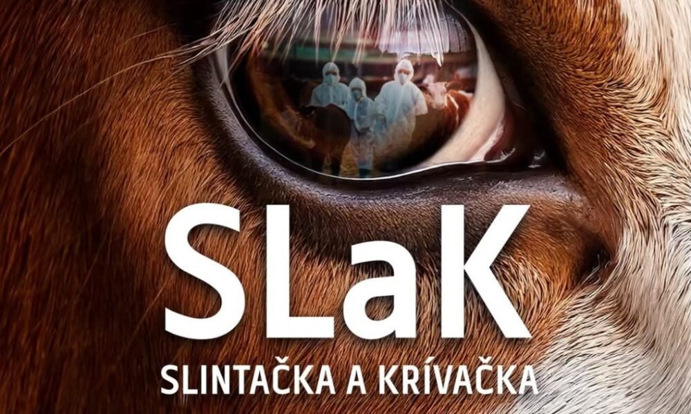 Slintačka a krívačka v Maďarsku a na Slovensku. Majú význam zákazy a nariadenia, ak sa vírus šíri vzduchom?
