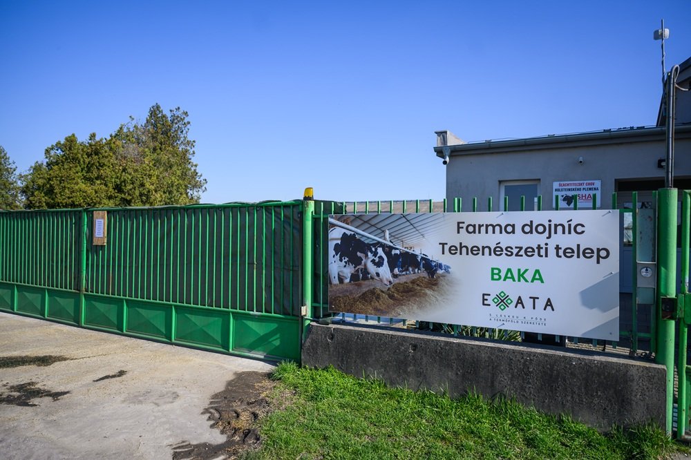Vakcíny, výpadok obchodu, utracovanie zvierat: Čo všetko môže EÚ preplatiť Slovensku Vakcíny, výpadok obchodu, utracovanie zvierat: Čo všetko môže EÚ preplatiť Slovensku