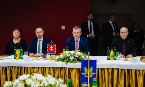 Pellegrini radí vláde nazrieť do zistení NKÚ, až potom miešať ďalší koktejl konsolidácie – VIDEO, FOTO