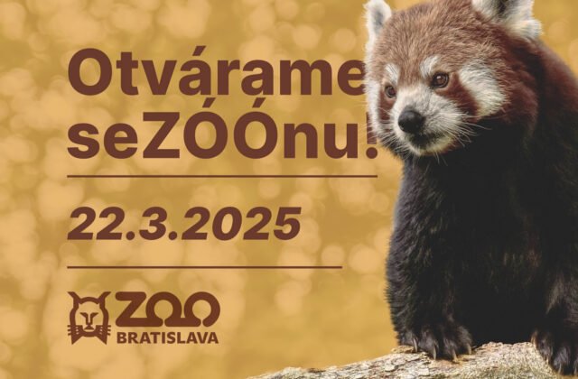 356025_67daa7283e3d5847525390-640x420.jpg Zoologická záhrada v Bratislave otvára svoju 65. sezónu, návštevníkov čaká pestrý program