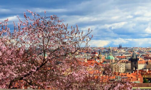 Přes den jaro, v noci mráz. Jak bude o víkendu?