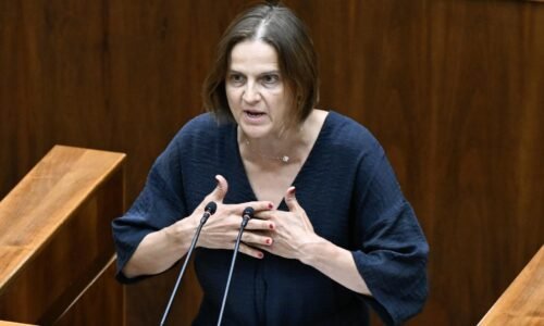 Premiér vysiela signál, že nemá záujem na rokovaniach o silnej Európe, kritizuje SaS