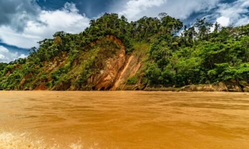 Brazílie vykácí kvůli klimatickému summitu deštný prales. Na konferenci má vést dálnice