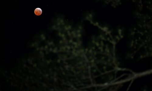 Zatmenie Mesiaca je za nami, koncom marca zmizne aj časť Slnka. Pozrite si fotografie