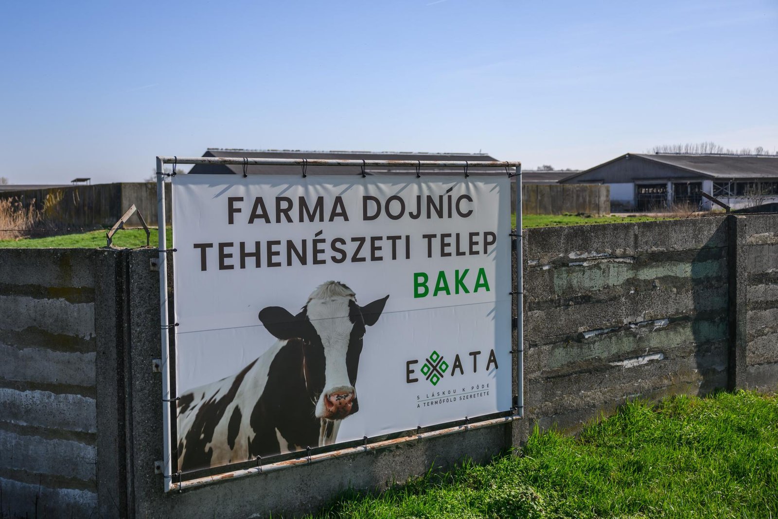 Nákaza pripraví Slovensko o milióny litrov mlieka. Obchodníci už riešia, z ktorých krajín ho doviezť