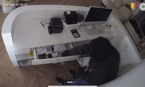 Policie dopadla gang zlodějů terorizující Žižkov: Do butiku známé influencerky se proboural zdí