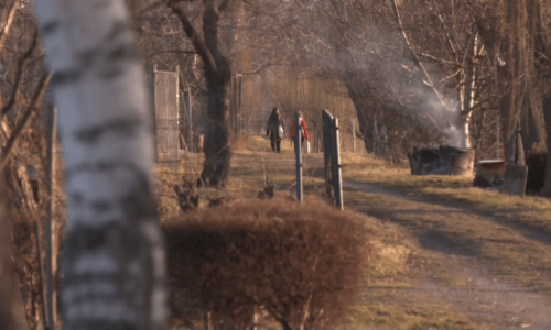Pobodání na Brněnsku mělo směřovat ke znásilnění. Hrůznou scénu vylíčila kamarádka oběti