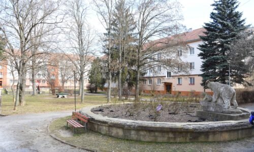 Máte spomienky na vnútroblok pri medveďoch?