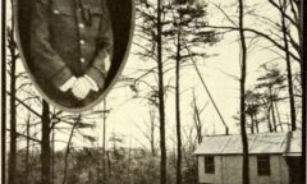 Plán prvej svetovej vojny zmeniť americké stromy na telefóny