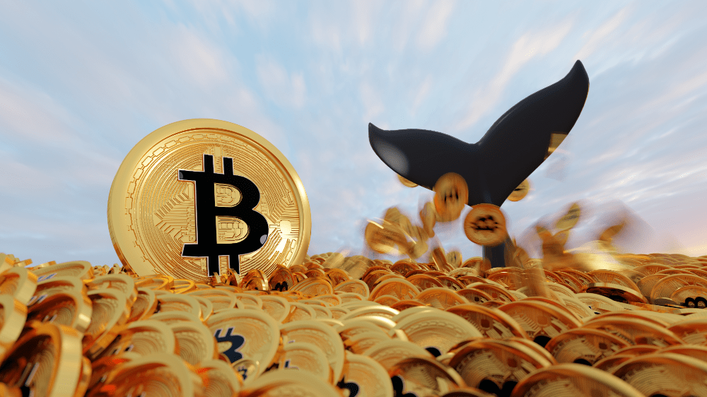 Nastal obrat: Najväčší investori začali vo veľkom hromadiť Bitcoin Nastal obrat: Najväčší investori začali vo veľkom hromadiť Bitcoin