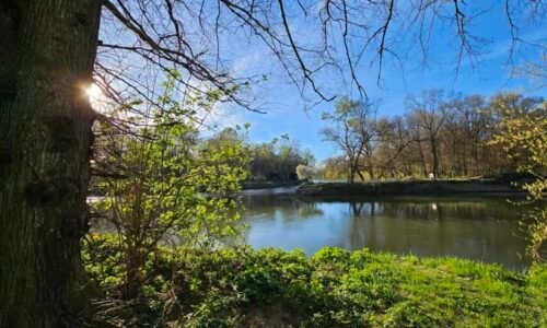 Teploty budou atakovat hranici 20 stupňů Celsia. V nadcházejícím týdnu pak přijde zlom