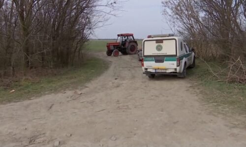 U silnice ve Vydranech leželo zohyzděné ženské tělo. Policisté mluví o hrůzném nálezu