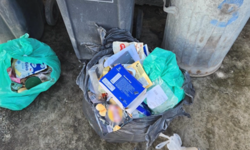 Dobrý den, kontrola odpadu. Obec na Plzeňsku probírá lidem popelnice, chce je přimět k třídění