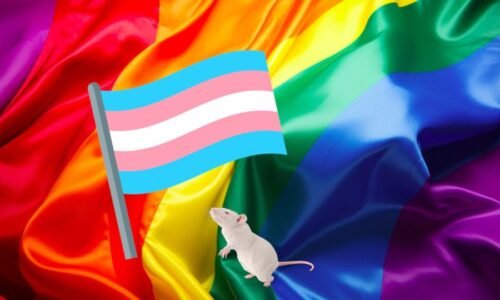 Bidenův režim utratil miliony z peněz daňových poplatníků na výrobu „transgenderových zvířat“