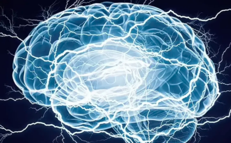 Štúdia stimulácie mozgu naznačuje Psi schopnosti u ľudí Štúdia stimulácie mozgu naznačuje Psi schopnosti u ľudí