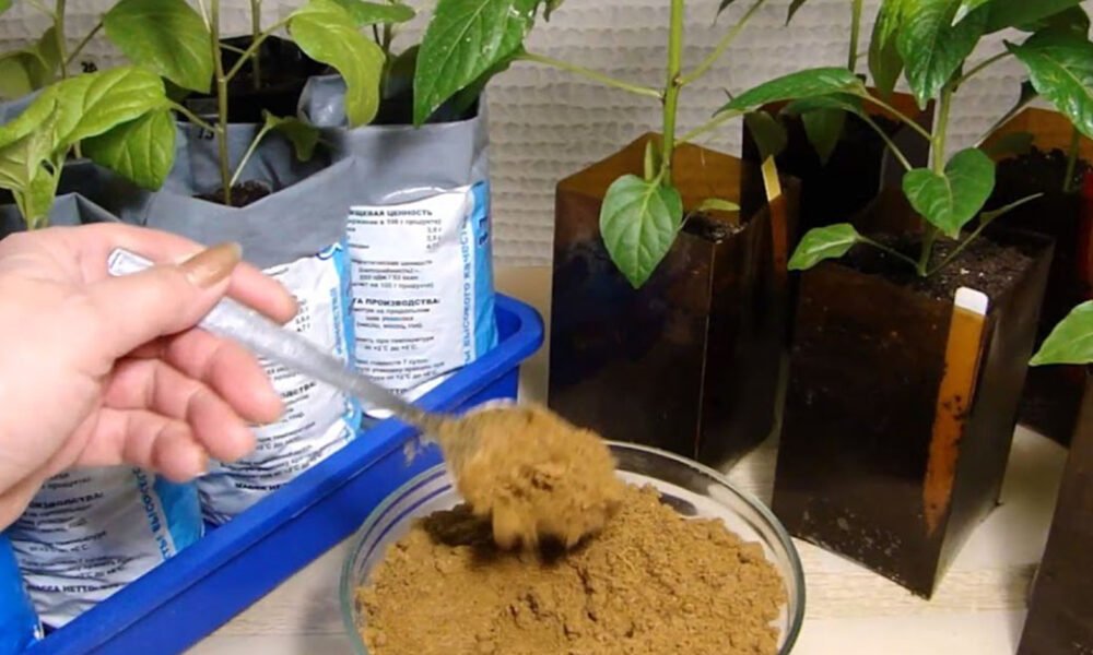 Zamiešam dve lyžice do substrátu a moje SADENICE si vybudujú silný koreňový systém. Každý rok sú ZDRAVÉ a bohato PLODIACE