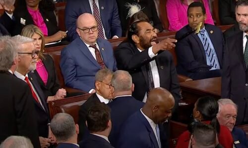 Trumpův projev v Kongresu: Jedno velké divadlo v režii demokratů (video)