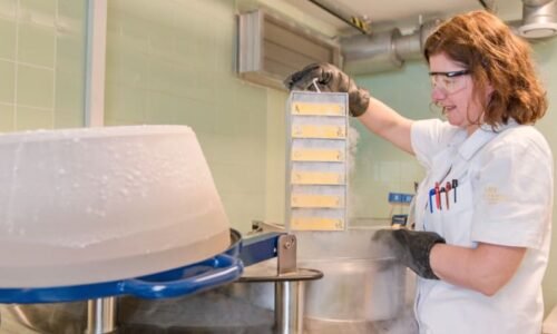 Speciální „mrazničky“, které mohou skrývat odpověď na zdravější život. Biobanka slaví 25 let