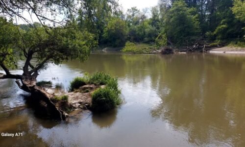 Ekocentrum Čunovo pozýva na komentovanú vychádzku za „lietajúcim diamantom“