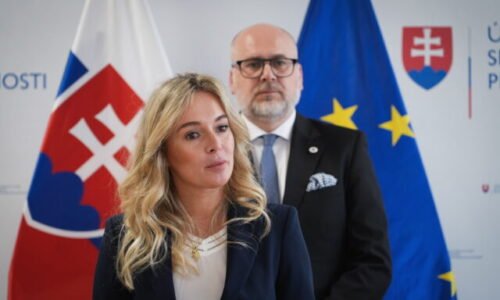 Transparentnosť mimovládok nie je útokom na občiansku spoločnosť, tvrdí splnomocnenkyňa vlády