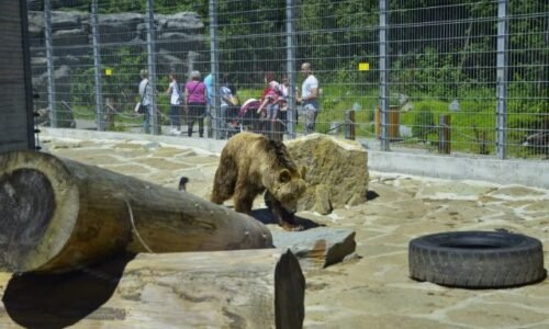 ZOO v Spišskej Novej Vsi otvoria s mesačným oneskorením, pre návštevníkov sú pripravené novinky