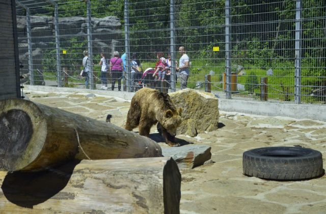 399248_medved-zoo-spisska-nova-ves-640x420.jpg ZOO v Spišskej Novej Vsi otvoria s mesačným oneskorením, pre návštevníkov sú pripravené novinky