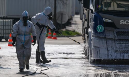 Maďarsko nasadzuje armádu do boja proti šíreniu slintačky a krívačky