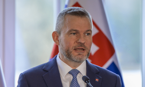 Mimovládky vyzvali prezidenta, aby novelu zákona nepodpísal. Nadácia Zastavme korupciu hovorí o šikane