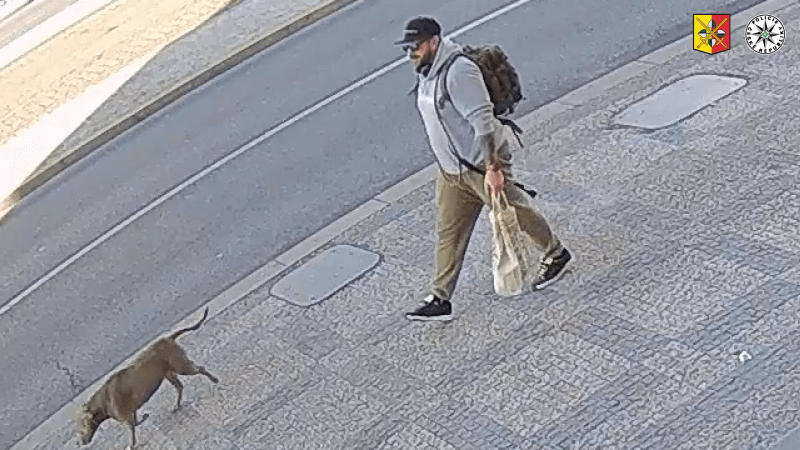 Potetovaný útočník surově zbil muže na pražské Letné, kopal ho i do hlavy. Pátrá po něm policie