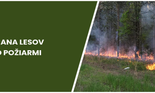 Ochrana lesov pred požiarmi v roku 2025 Ochrana lesov pred požiarmi v roku 2025