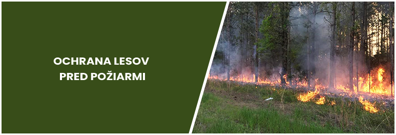 Ochrana lesov pred požiarmi v roku 2025 Ochrana lesov pred požiarmi v roku 2025