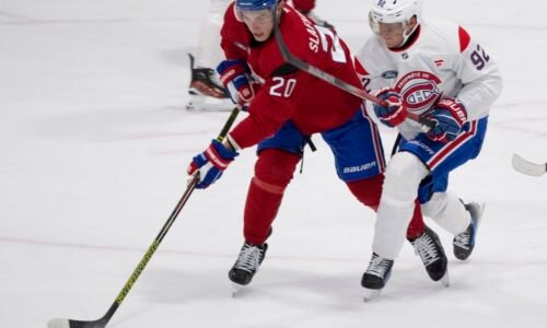 Niečo také som v NHL ešte nevidel. Je lenivý! Slafkovského spoluhráč to schytáva zo všetkých strán